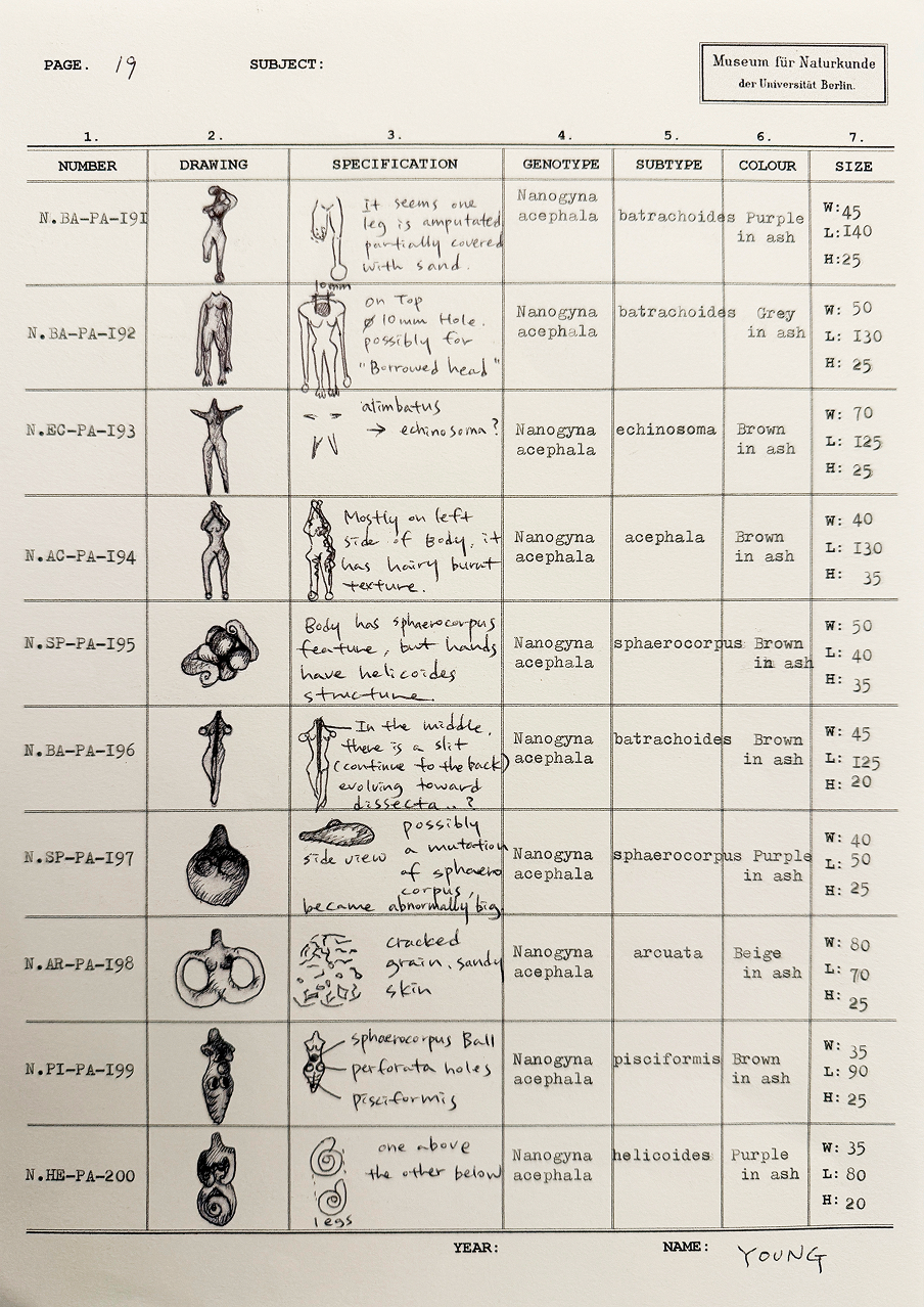 Young Yena, 30 Million Years Under the Pavilion